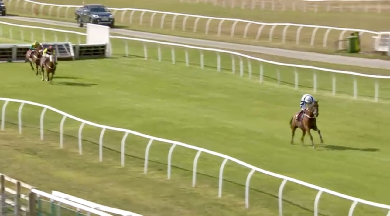 Magistrato trained by Debbie Cole and ridden by James Bowen won the Breeze Capital Handicap Chase over 2M 4.5F at Bangor on Dee (Friday 5th September).  Magistrato is fed on HCHF’s Oataalin and he won by 17 lengths fr