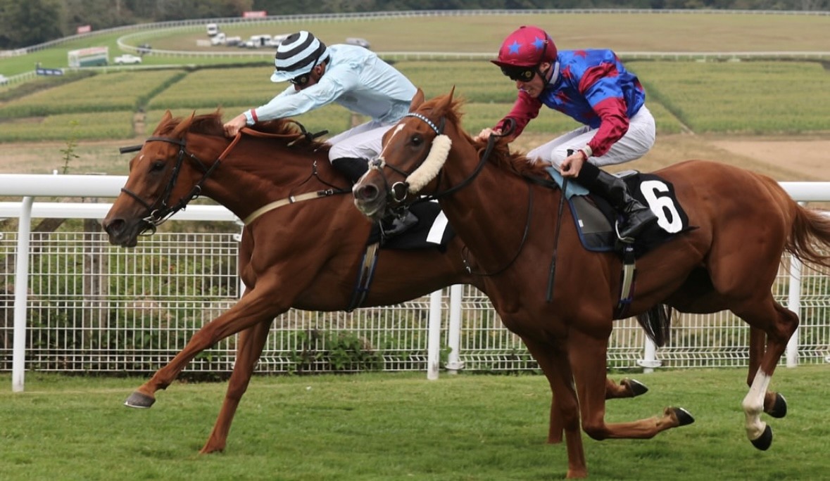 PINK LILY BLOSSOMS AT GOODWOOD. We all love Pink Lily, our very brave filly who never gives up. Well done to Alec Voikhansky who has ridden her in 6 of her 7 wins!